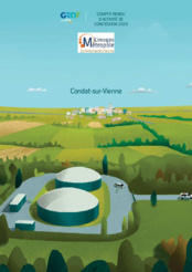 Compte rendu d'activité concession 2020 Gaz Condat-sur-Vienne