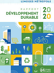 Rapport du développement durable 2020