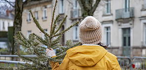 Photo d'une personne de dos tenant un sapin dans la main gauche et portant un bonnet beige