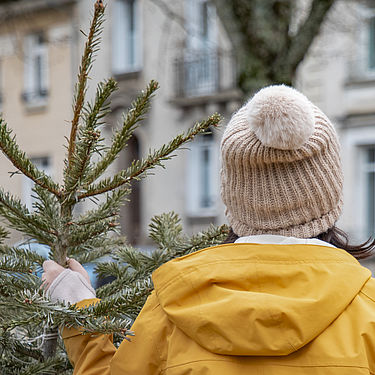 Photo d'une personne de dos tenant un sapin dans la main gauche et portant un bonnet beige