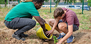 image actualité jardins de quartier site internet limoges metropole 