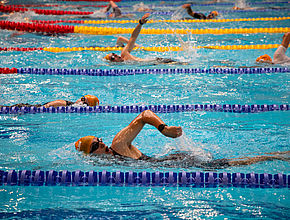 Agrandir l'image (fenêtre modale)