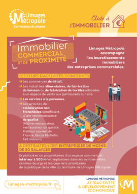 flyer immobilier commerce