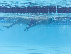 Entrainement à Limoges de l'équipe de France de Natation Paralympique pour les Jeux de Paris 2024 - Agrandir l'image (fenêtre modale)
