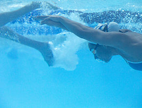 Entrainement à Limoges de l'équipe de France de Natation Paralympique pour les Jeux de Paris 2024 - Agrandir l'image (fenêtre modale)