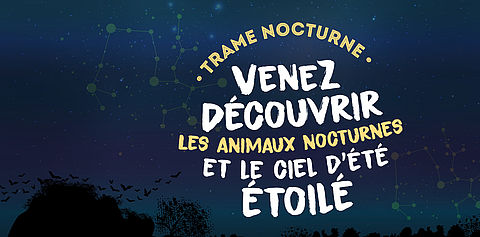 Visuel Trame Nocturne 2026 Limoges Métropole