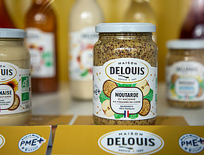 Agrandir l'image (fenêtre modale)