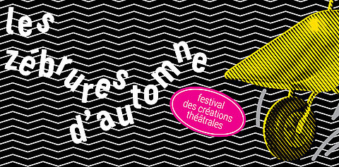 image festivale zébrures d'automens 2025 à Limoges 