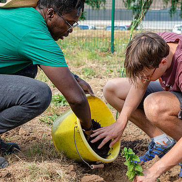 image actualité jardins de quartier site internet limoges metropole 