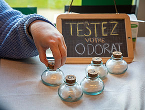 Le Grand' Lab'EAU BOIS 2025 LIMOGES Métropole - Agrandir l'image (fenêtre modale)