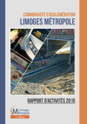 Rapport d'activité 2015