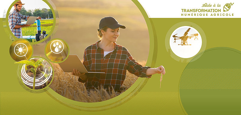 Aide à la transformation numérique agricole 2026 