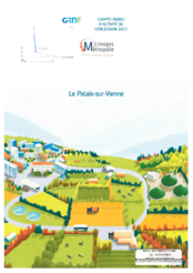  Compte-rendu d'activités de Gaz Réseau Distribution France (GRDF) - Le Palais-sur-Vienne
