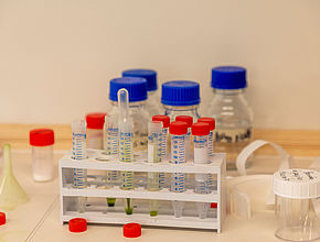 Le Grand' Lab'EAU BOIS 2025 LIMOGES Métropole - Agrandir l'image (fenêtre modale)