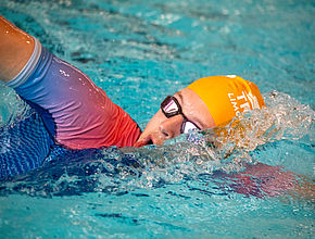 Agrandir l'image (fenêtre modale)