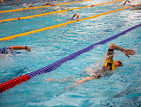 Agrandir l'image (fenêtre modale)