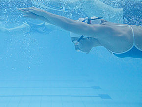 Entrainement à Limoges de l'équipe de France de Natation Paralympique pour les Jeux de Paris 2024 - Agrandir l'image (fenêtre modale)