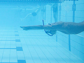 Entrainement à Limoges de l'équipe de France de Natation Paralympique pour les Jeux de Paris 2024 - Agrandir l'image (fenêtre modale)