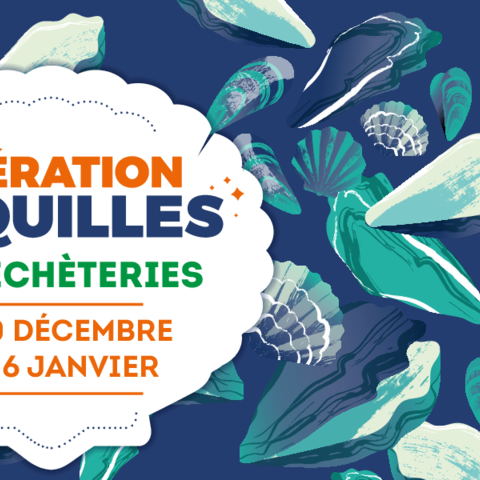 Image Opération coquilles 2025 Site internet Limoges Métropole