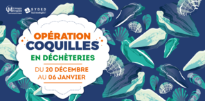 Image Opération coquilles 2025 Site internet Limoges Métropole