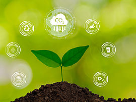 Bas carbone plante terre, sur fond vert