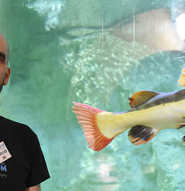 l'aquarium du Limousin se modernise et s'agrandit 
