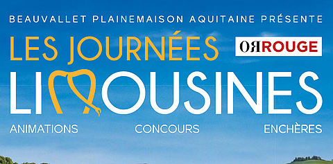 Jounrées limouines OR ROUGE 2025 Limoges 