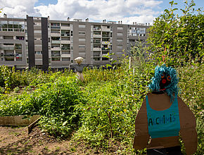 Agrandir l'image (fenêtre modale)