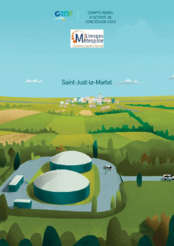 Compte rendu d'activité concession 2020 Gaz Saint-Just-le-Martel