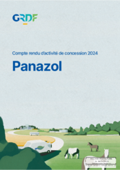 Compte-rendu d'activités GRDF Panazol 2024