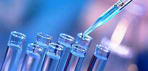 iage lancement de l'appel à projet sur les filières d'excellence de Limoges Métropole 2026 