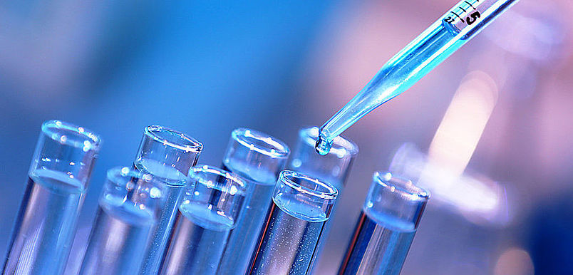 iage lancement de l'appel à projet sur les filières d'excellence de Limoges Métropole 2026 