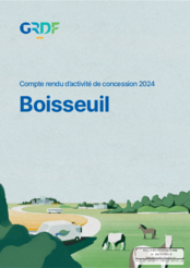 Compte-rendu d'activités GRDF Boisseuil 2024