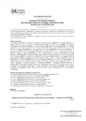 Budget annexe "lotissements d'activités économiques" - budget primitif 2025