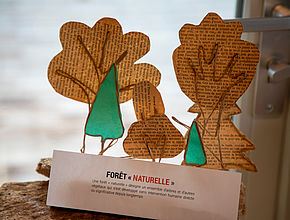 Le Grand' Lab'EAU BOIS 2025 LIMOGES Métropole - Agrandir l'image (fenêtre modale)