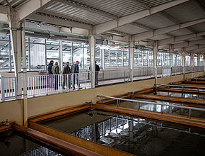 Agrandir l'image (fenêtre modale)