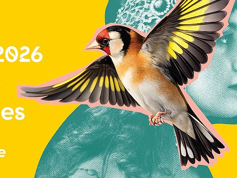 Visuel 2026 du Festival 1001 NOTES Limoges