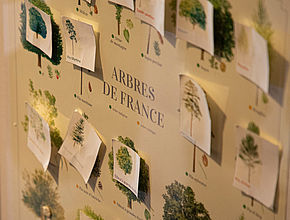 Le Grand' Lab'EAU BOIS 2025 LIMOGES Métropole - Agrandir l'image (fenêtre modale)