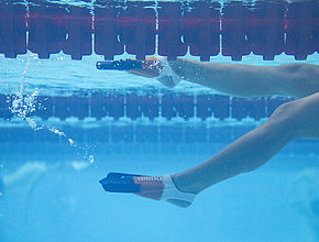 Entrainement à Limoges de l'équipe de France de Natation Paralympique pour les Jeux de Paris 2024 - Agrandir l'image (fenêtre modale)