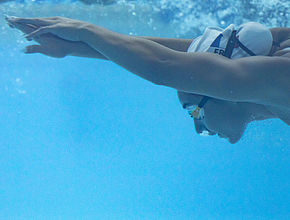 Entrainement à Limoges de l'équipe de France de Natation Paralympique pour les Jeux de Paris 2024 - Agrandir l'image (fenêtre modale)