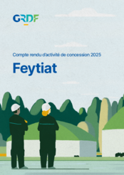 Compte-rendu d'activité de concession 2025 - Feytiat -GRDF